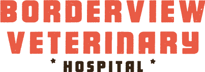 Borderview Veterinary Hospital