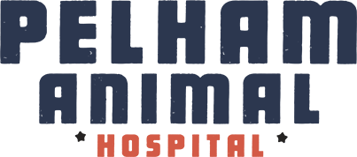 Pelham Animal Hospital pelham