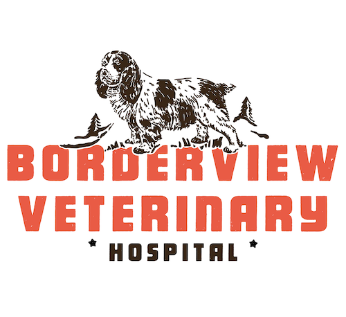 Borderview Veterinary Hospital | Take a Tour